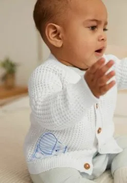 Next STANDARD - Strickjacke - Blue Train Embroidery -Oberbekleidung Verkäufe 21db933abafc465a9b8e5bf43e38e751