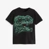 Next SHORT SLEEVE GRAPHIC - T-Shirt Print - Black Dinosaur -Oberbekleidung Verkäufe 48acbc57ae2245ebb21c628e3023429a 1