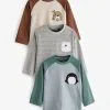 Next 3 PACK APPLIQUÉ TRANSPORT - Langarmshirt - Blue Grey Arctic Animals -Oberbekleidung Verkäufe 68d3293c4df34746971d4d0467c6b84b