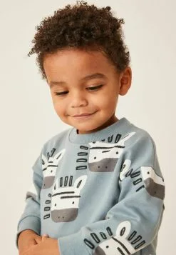 Next ALL OVER PRINT AND SET - Sweatshirt - Blue Zebra