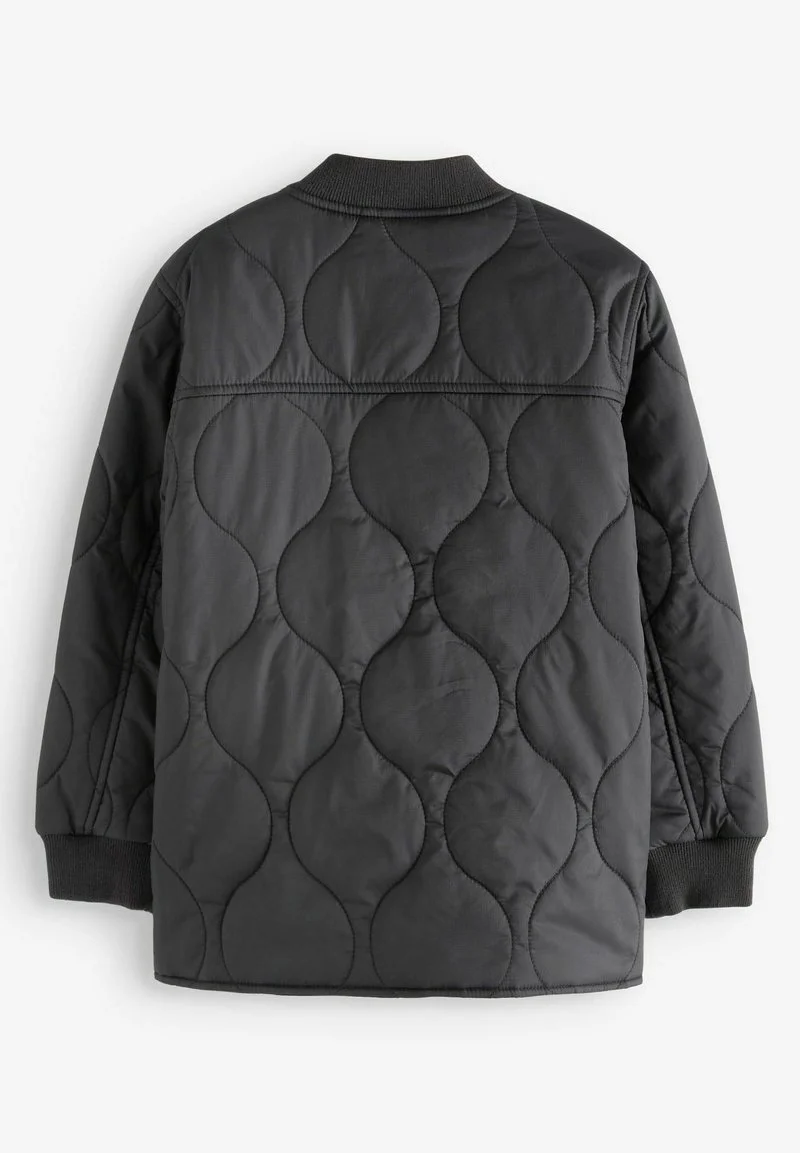 Next QUILTED STANDARD - Winterjacke - Black 4 Next QUILTED STANDARD - Winterjacke - Black – Bild 2