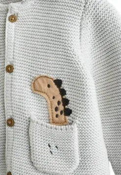 Next STANDARD - Strickjacke - Grey Dino -Oberbekleidung Verkäufe a59fdf7d7e0b4f46b95868a52efba87a