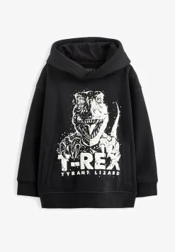 Next DINOSAUR - Kapuzenpullover - Black