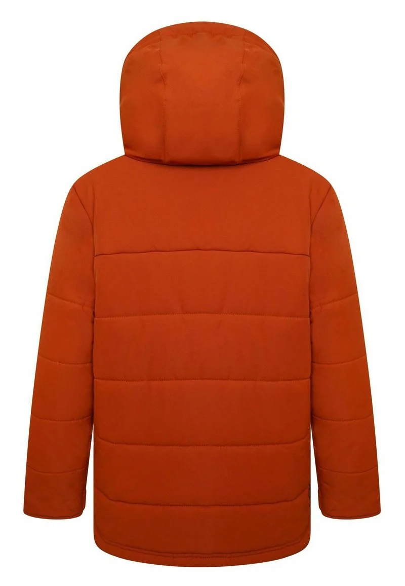 Next DARE 2B X VIRTUOSO SKI STANDARD - Winterjacke - Orange 6 Next DARE 2B X VIRTUOSO SKI STANDARD - Winterjacke - Orange – Bild 4