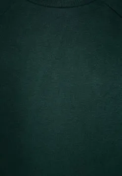 Next CREW NECK - Sweatshirt - Green -Oberbekleidung Verkäufe e3c37ea3bcb6472b9da23e8dc556186d