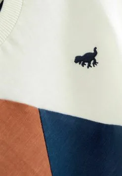 Next SHORT SLEEVE COLOURBLOCK - T-Shirt Print - Rust Brown/navy -Oberbekleidung Verkäufe e8fa9d766d644f5b831ee43eac531cb6